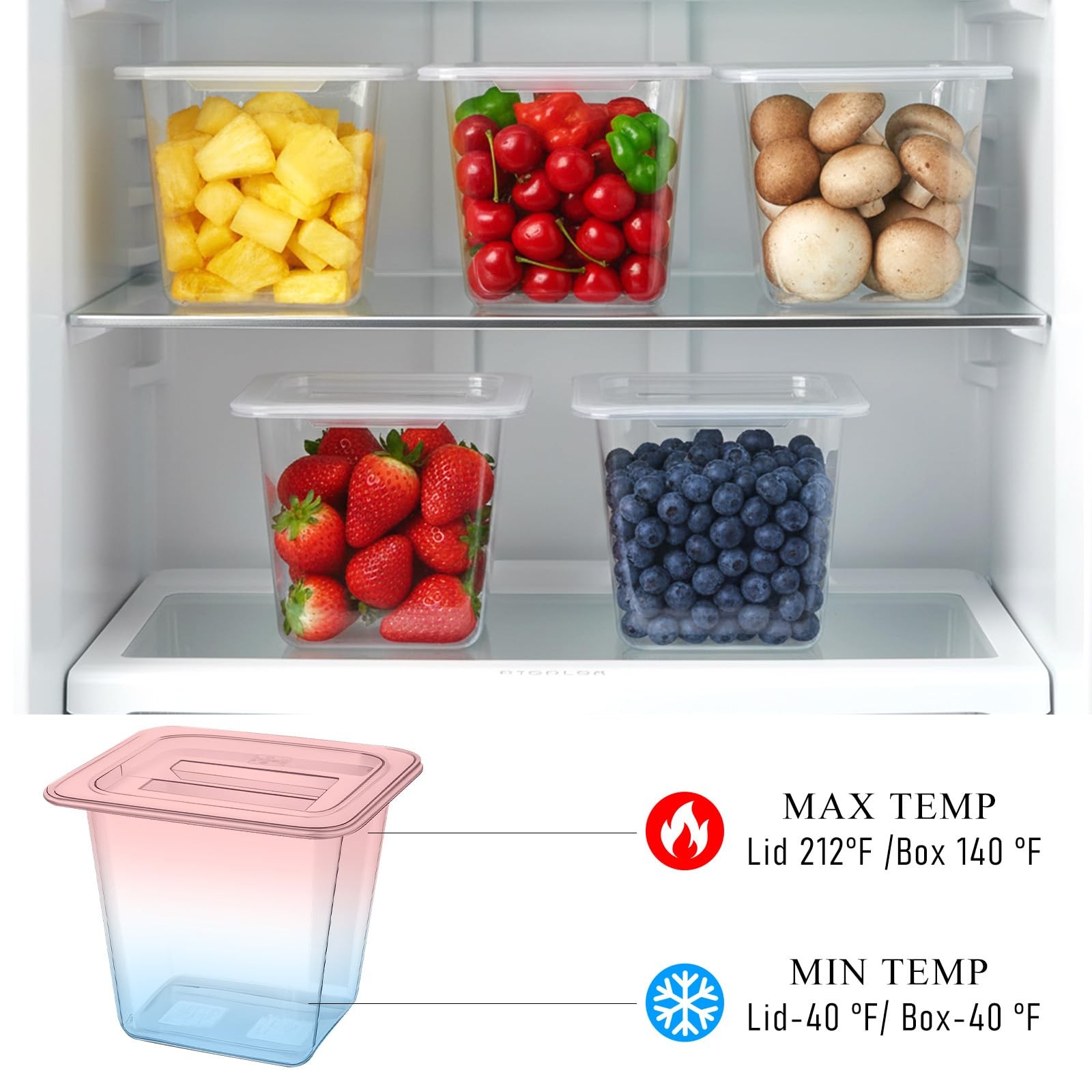 Plastic Food Pan with Lids 1/6 Size Stackable Food Containers with Capacity I…
