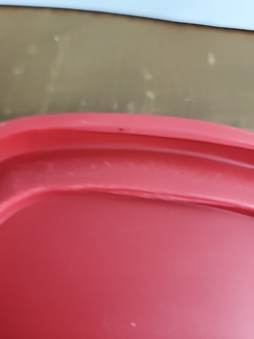 Rubbermaid Easy Find Replacement 7J64 Red Food Container Lid 6 1/2″
