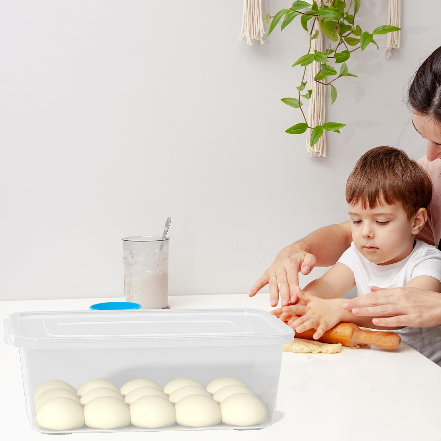 2-Pack 16 L Pizza Dough Proofing Box with Lid, Clear Food Pizza Storage Containe