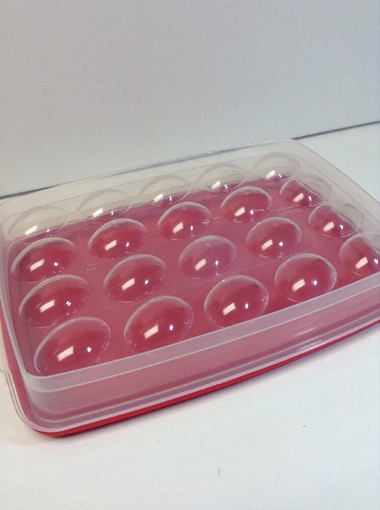 Rubbermaid Plastic Egg Container Holds 20 Eggs Clean with Red Lid