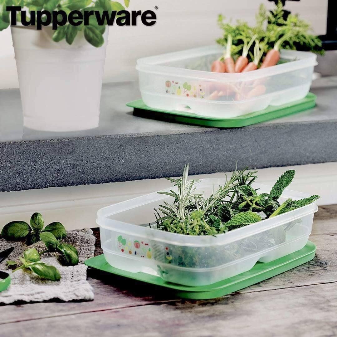 Tupperware FridgeSmart Medium Set of 2 Produce Savers – Produce Last Longer -New