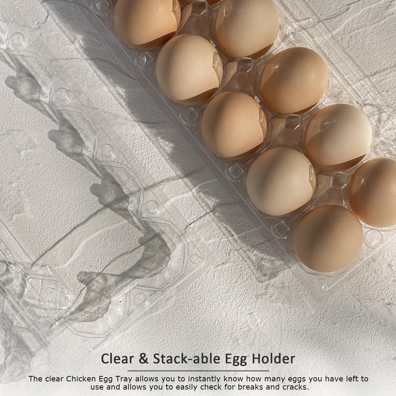 48 Pack Egg Cartons Cheap Bulk 12 Count 1 Dozen Clear Empty Chicken Egg Carto…