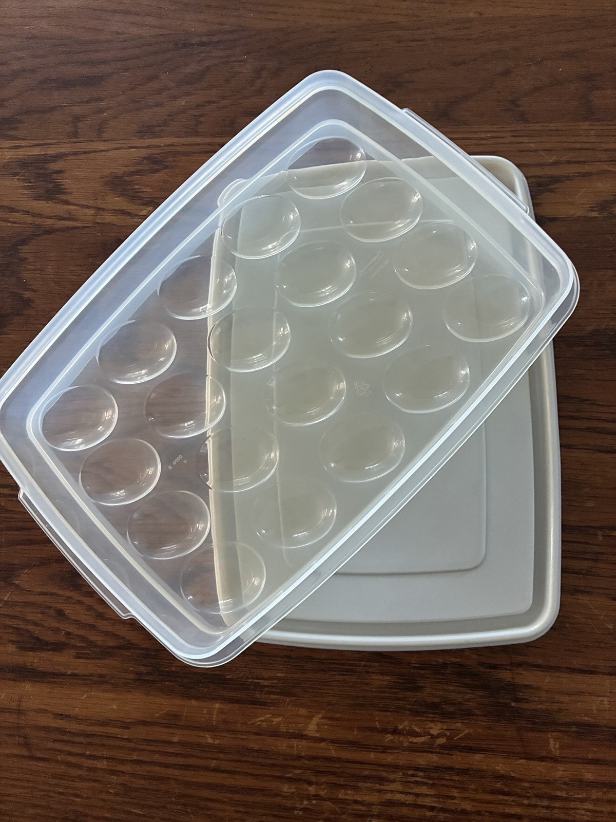 Vtg Rubbermaid Deviled Egg Container 0070 Sheer w/ Almond Lid Holds 20 eggs