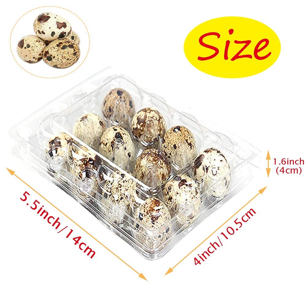 Plastic Quail Egg Cartons,50 Pack of 12 Grids Small Eggs Carton Holders for Q…