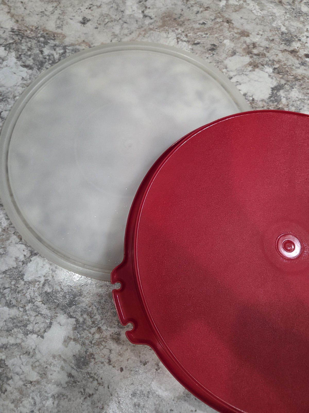Tupperware Paprika Divided Serving Tray 405-1 with Shear Lid 224-11 Cottagecore