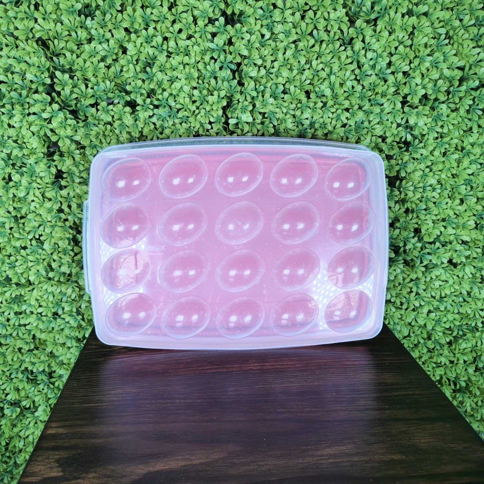 Rubbermaid Servin Saver Deviled Egg Keeper 20 Slot Red Lid Vintage 0070 FG Clear