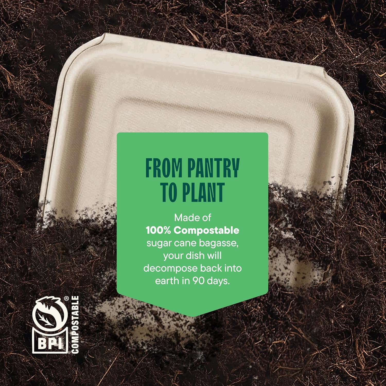 100% Compostable Clamshell Take Out Food Containers [8X8″ 3-Compartment 50-Pack]