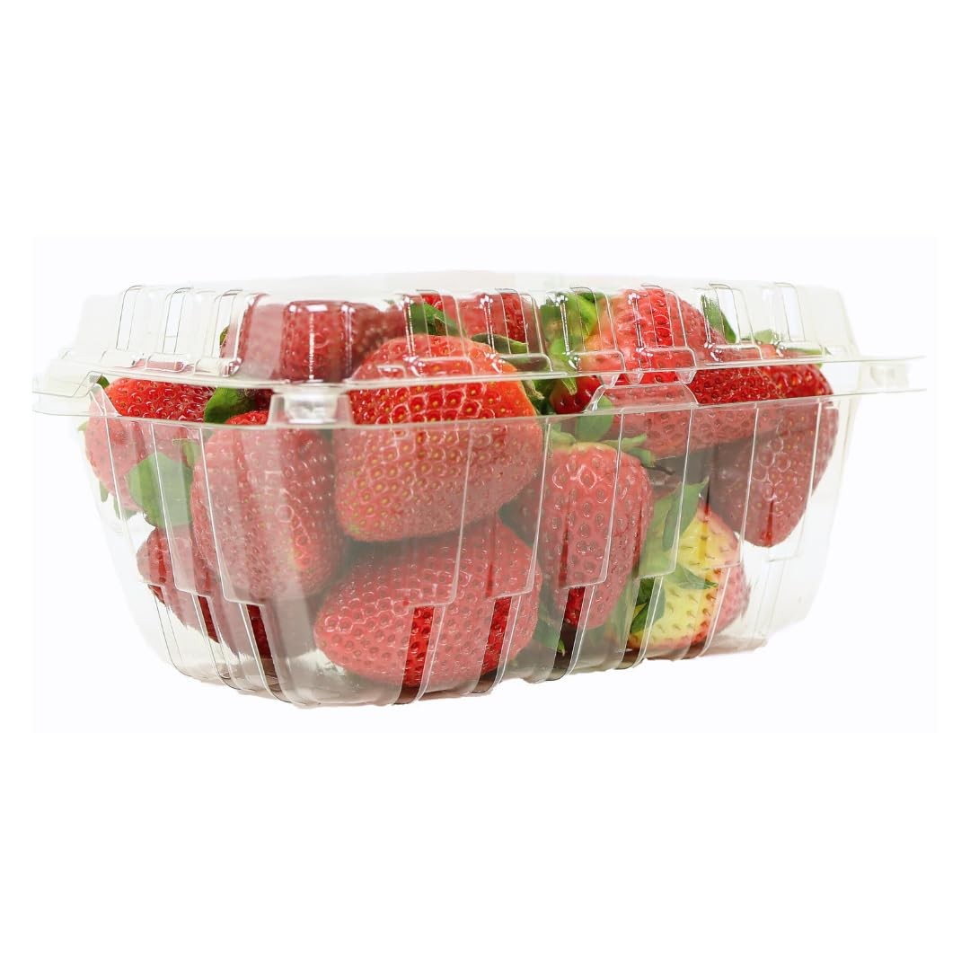 55 PCS 1 Pound Size Strawberry Berry Basket Clam Shell Container Storage