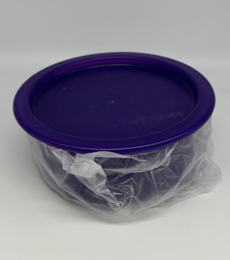 Tupperware Small Canister 2423E-6 Purple With Purple Lid 2635A-4
