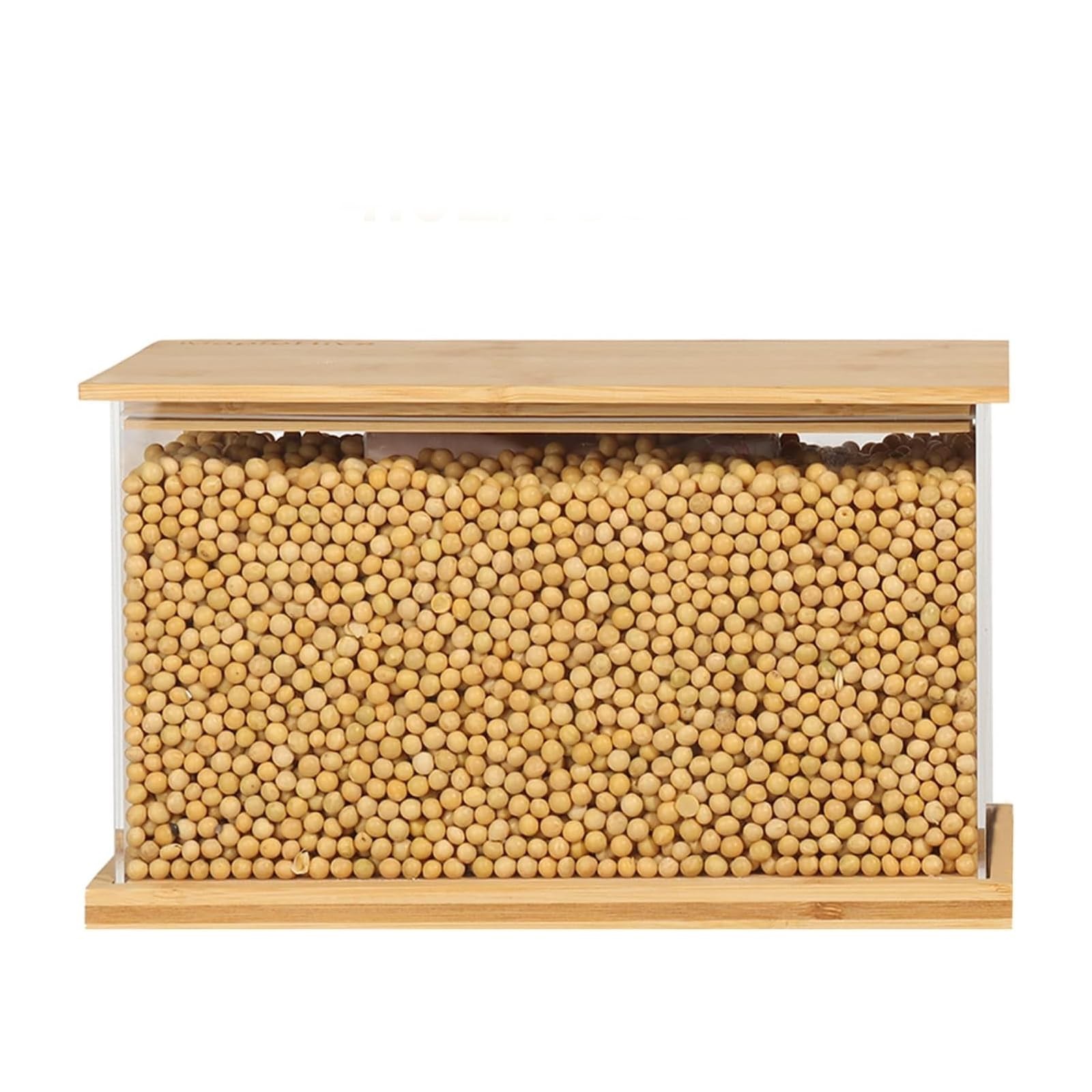 MapleHive Large Food 10.8 inches (L) x 6.5 (W) x (H), Clear