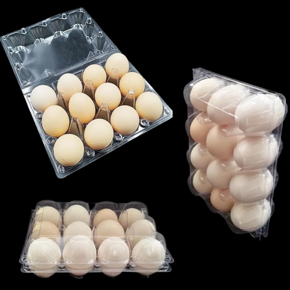 Plastic Egg Cartons Cheap Bulk, Clear Eggs Holder Storage Container, Empty Ch…