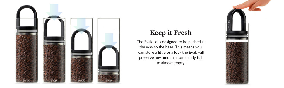 Evak Compact Airtight Glass Storage Canister, Medium (6” x 3.75″, 24oz) –