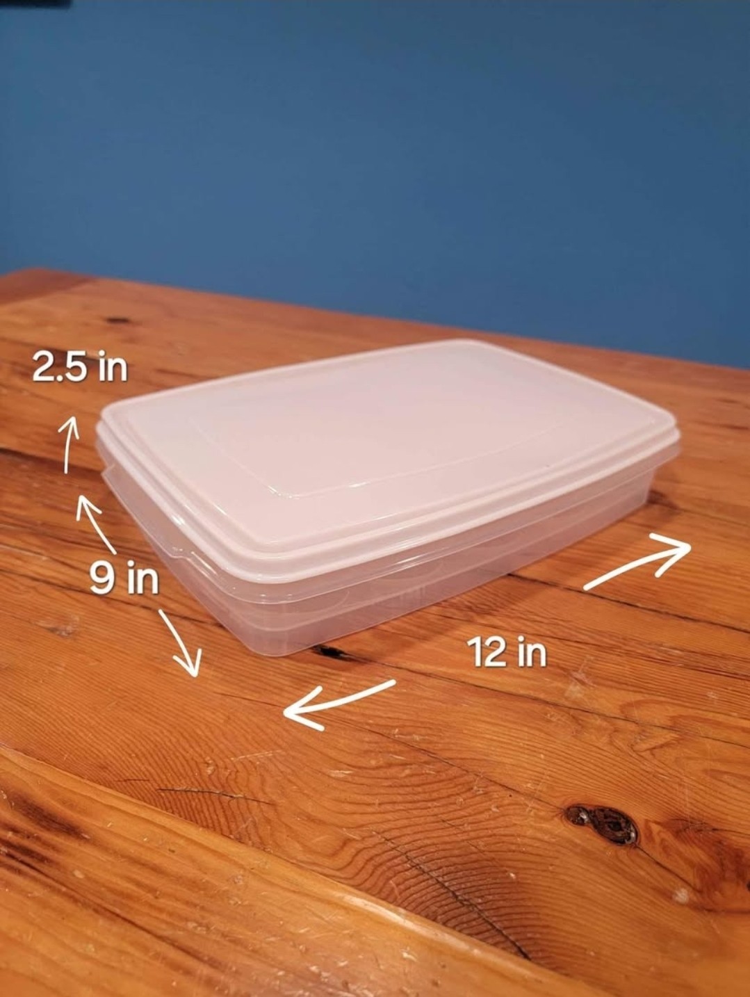 Rubbermaid Servin’ Saver Container #0070 #7 White Lid Deviled Egg Keeper USA