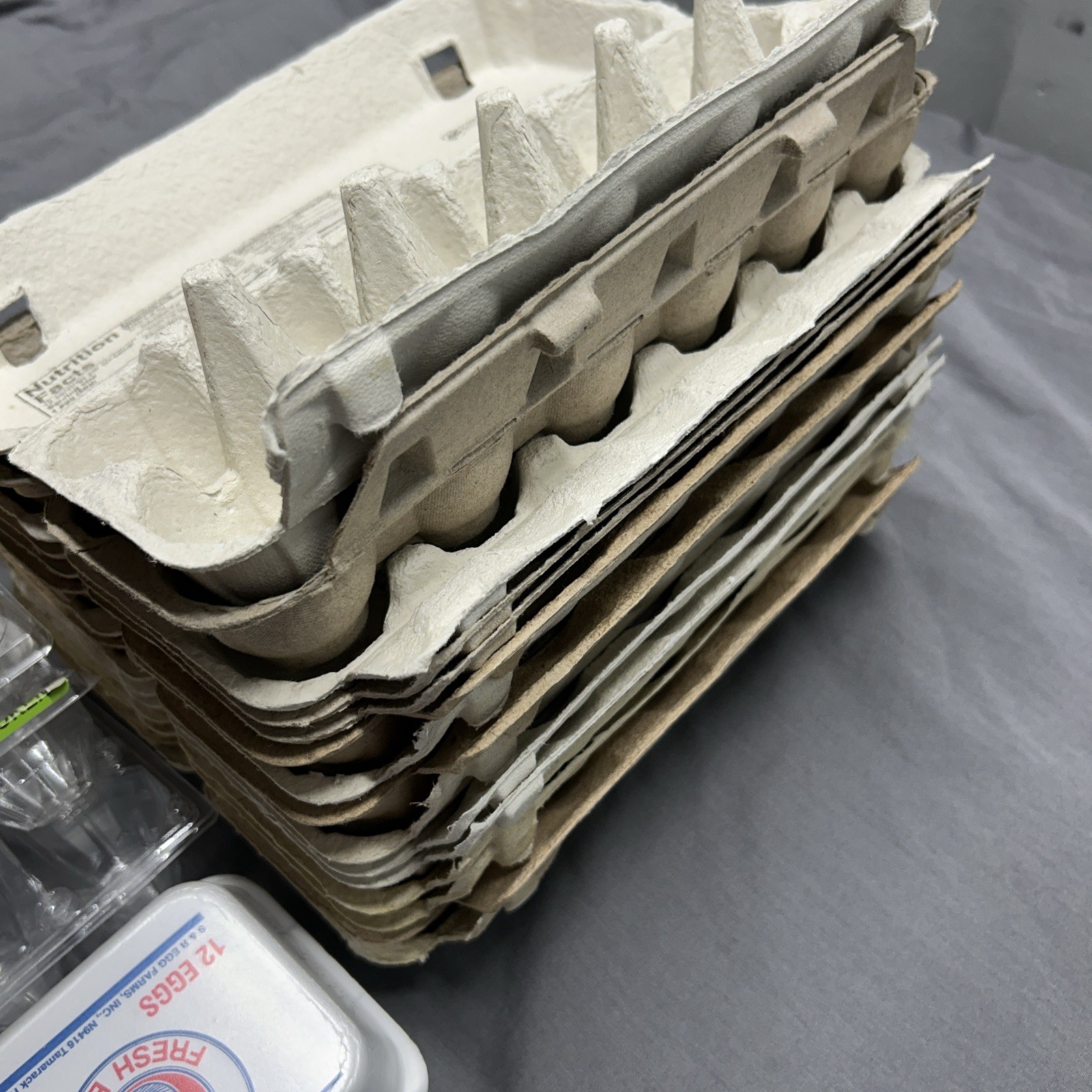 CARDBOARD, FOAM, PLASTIC CLEAN USED EGG CARTONS HOLDS 1 DOZEN EGGS (LOT OF 20)