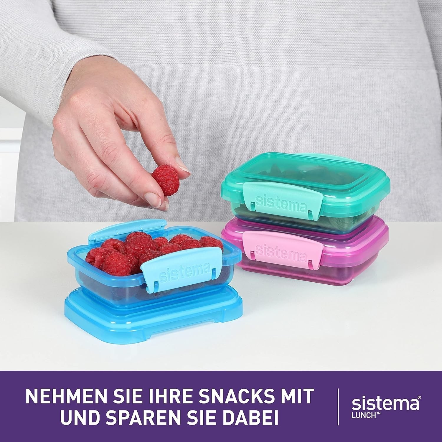 Lunch Collection Food Storage Containers 6.7 oz./0.2 L Pink/Green/Blue 3 Count