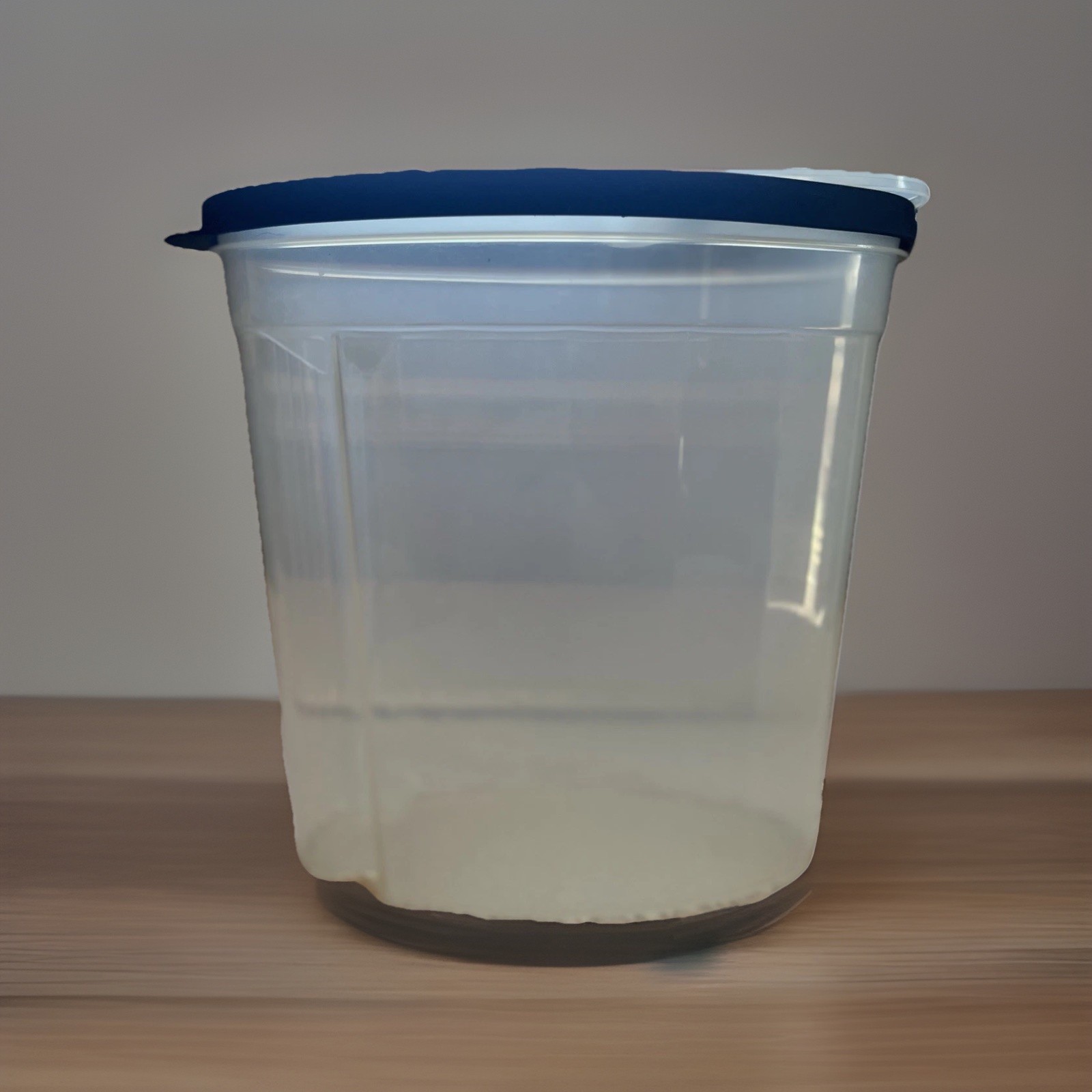 Vintage Rubbermaid Cereal Keeper 9.5” Press Center To Close Lid Blue Ring USA