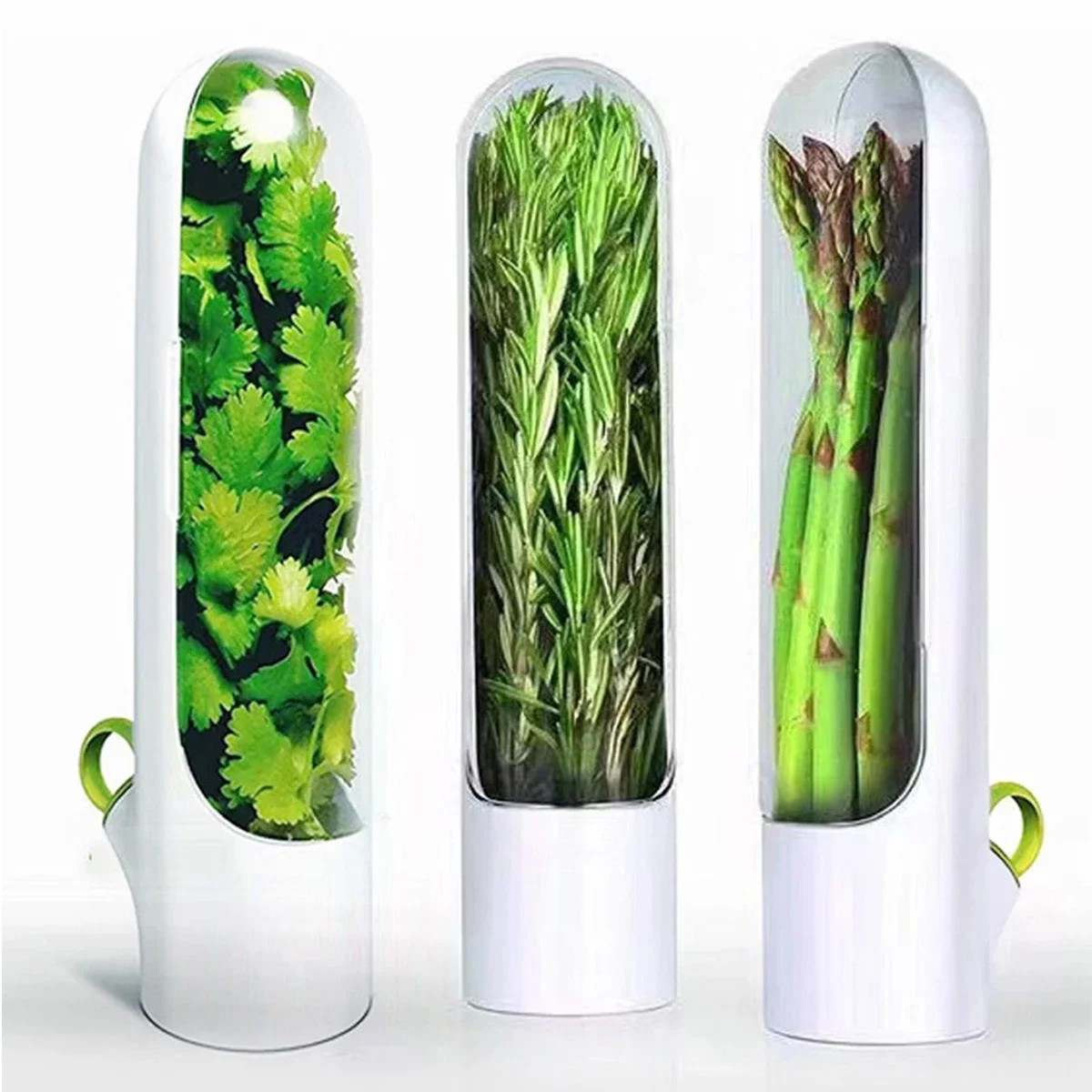 Cross-border Vanilla Vegetable Fresh-keeping Box Dust-proof Anti-pressure Enviro