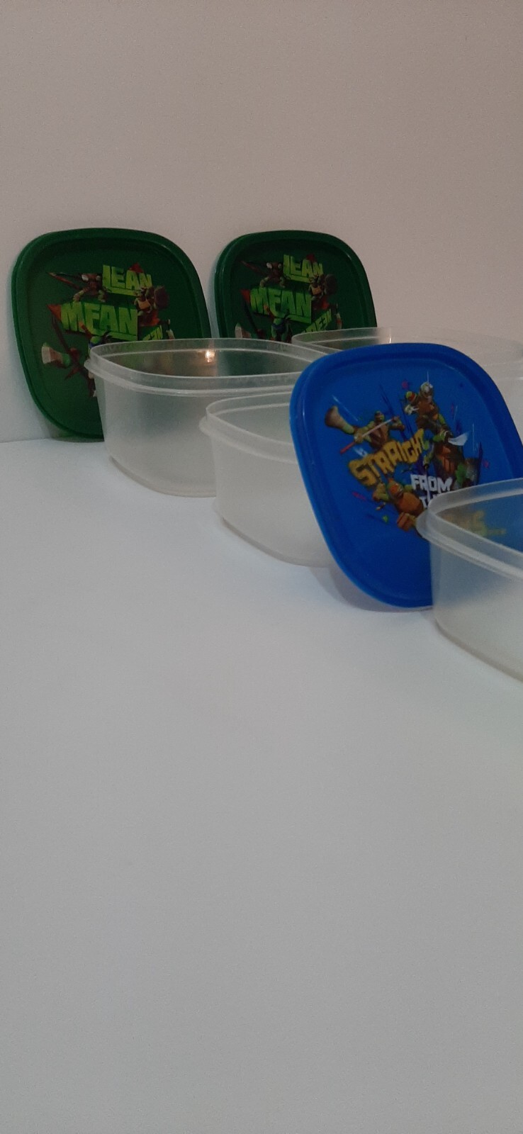Ninja Turtle Food Container Set