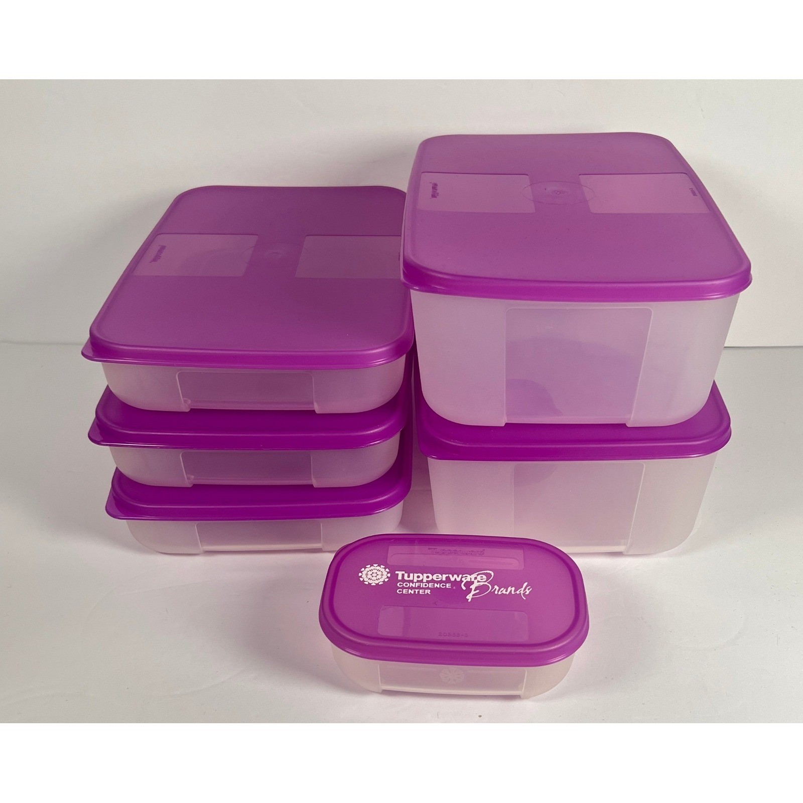 Tupperware Freezer Mates 6 pc Clear with Raspberry Seals 6 cup 2 1/4 Cup