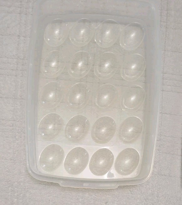 Vtg Rubbermaid Servin’ Saver 20 Deviled Egg Keeper Container White Lid #7