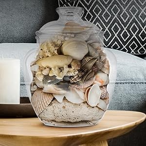 128-Ounce Candy & Cookie Jar with Lid, 1 Gallon Premium Acrylic Clear Apothecary