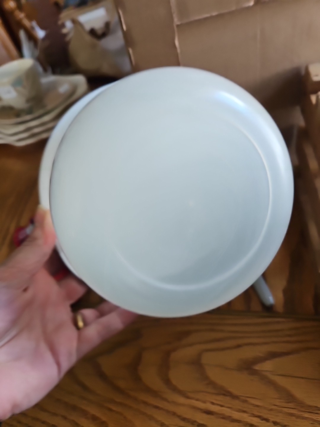 Pfaltzgraff Tea Rose Vintage Freezette II Plastic Container Set EUC – RARE ITEM!