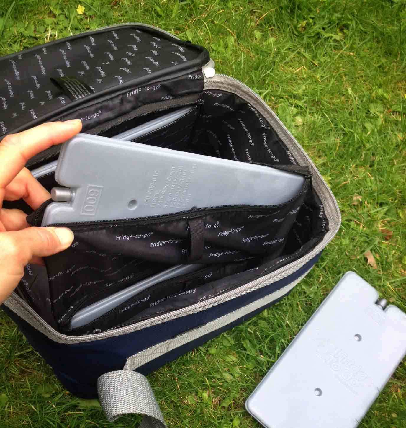 Fridge to go mini 6 fridge cooler bag