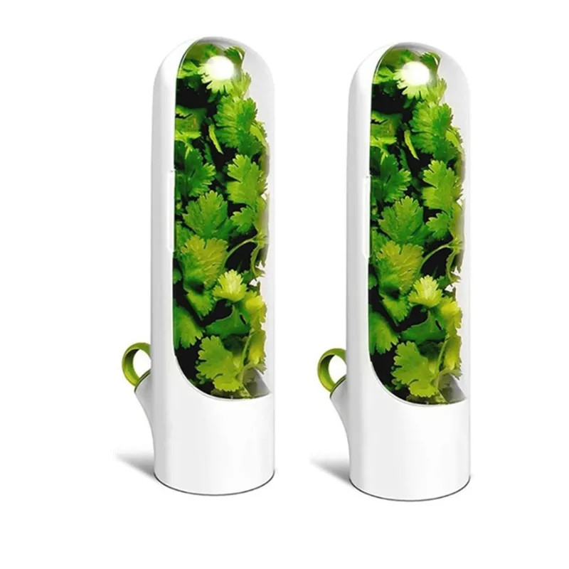 Cross-border Vanilla Vegetable Fresh-keeping Box Dust-proof Anti-pressure Enviro