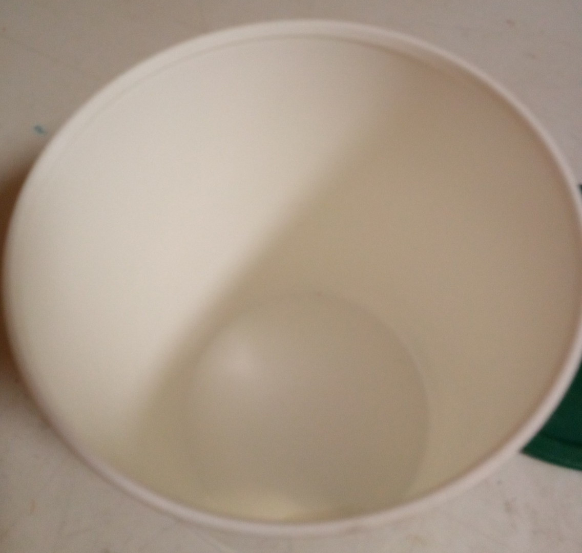 Remind Me Canister Tupperware B White w Hunter Green Seal Tupperware
