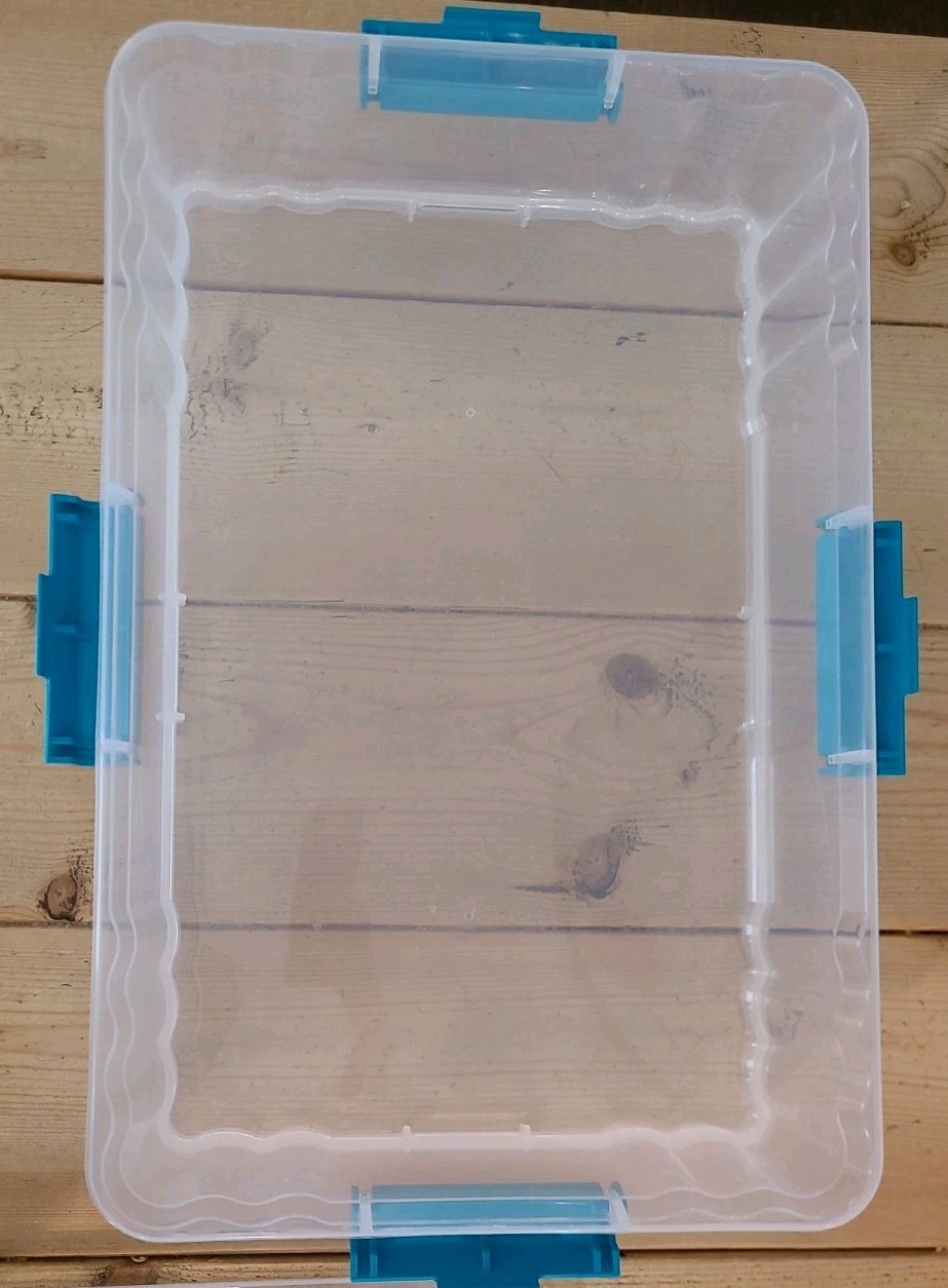Cake and Cupcake Carrier Food Storage Container Never Used
