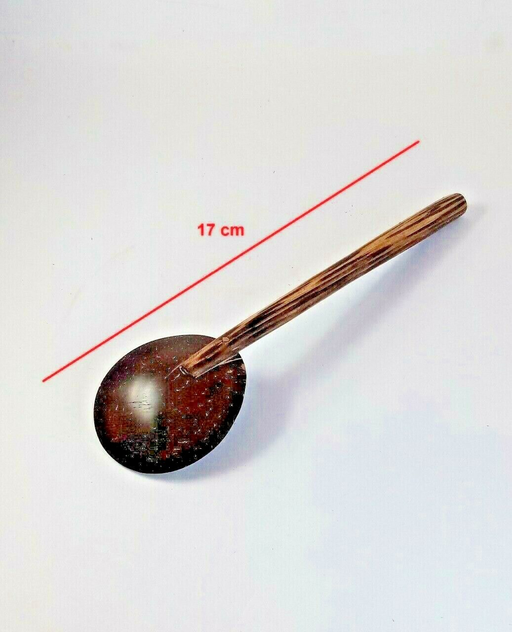 Salt Container with Spoon Coconut Shell Handmade Kitchen Zero Waste Eco-friendly