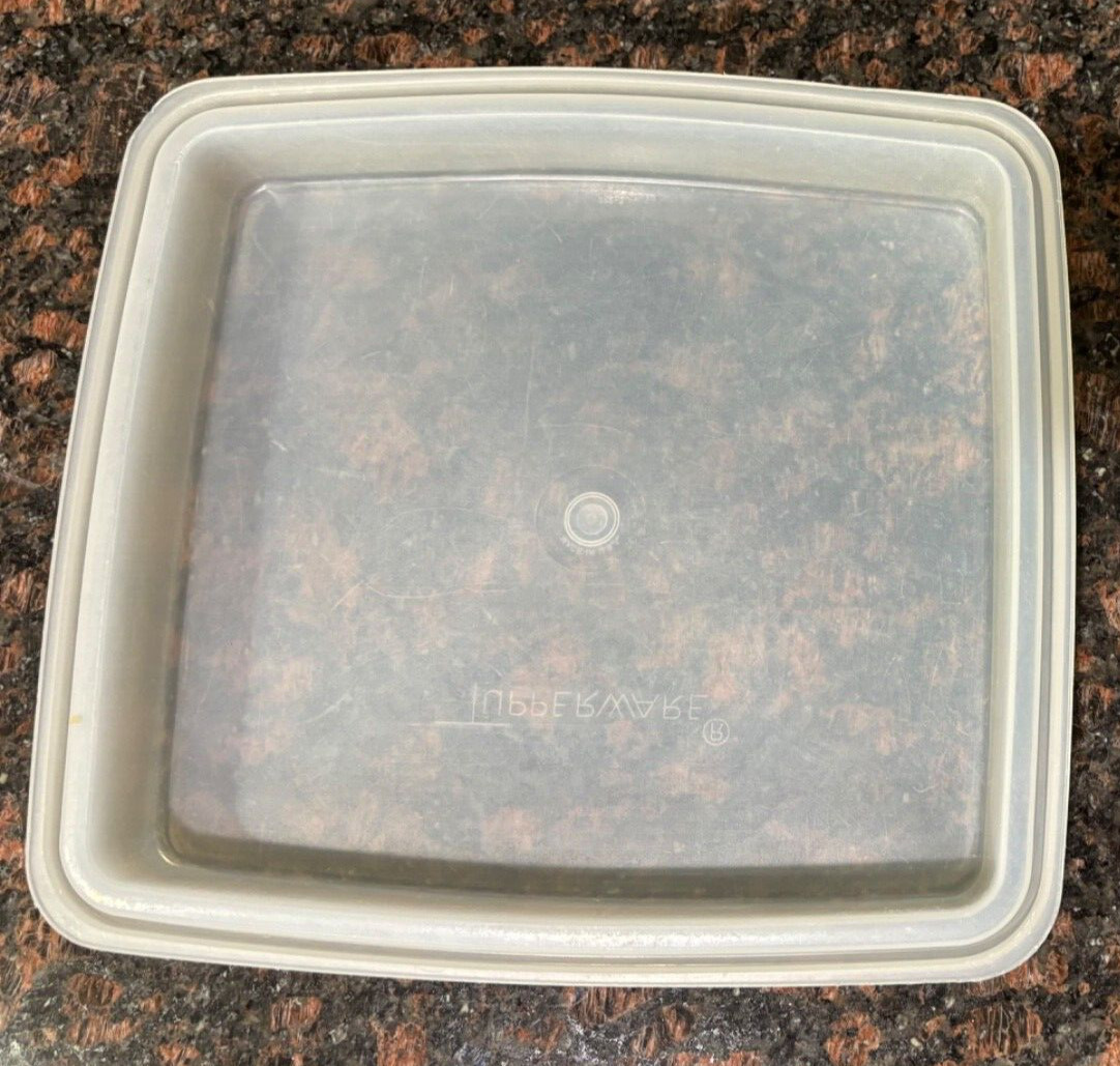VTG Tupperware Serving/Egg Tray 4-Piece Container Almond Tray, Clear Seal Used