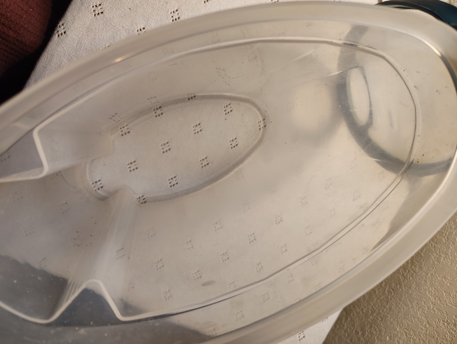 Rubbermaid Food Storage Container 1.5 Gal Blu Lid Cereal Pasta Liquid Oval