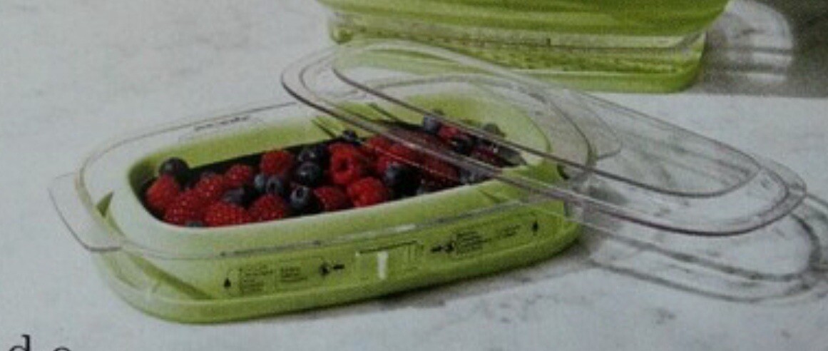 PRINCESS HOUSE 4 Qt (3 PCs) FRUIT AND VEGGIE SAVER 622 New