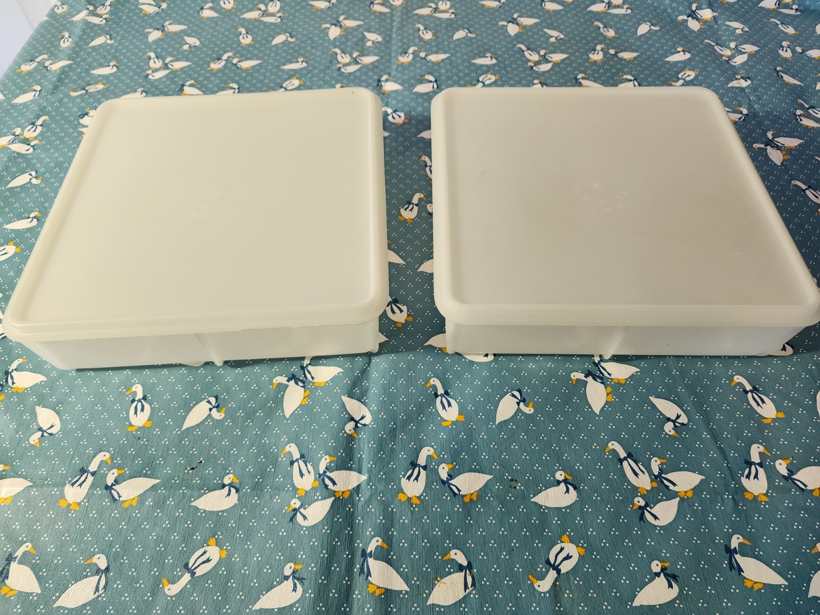 2 Vtg Eagle Super Seal Snack And Store 9 X 9 Food Storage Containers