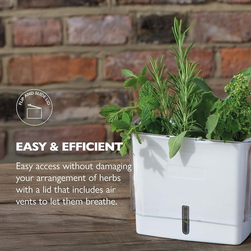 Fresh Herb Keeper Flip Slide Lid Water Level Indicator Herb Storage Solution New