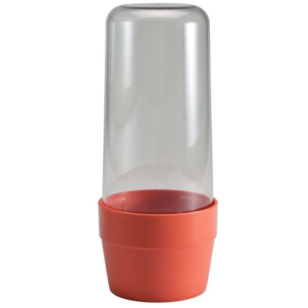Hutzler Herb Saver Storage Container – Keep Asparagus and Herbs Fresh Longer