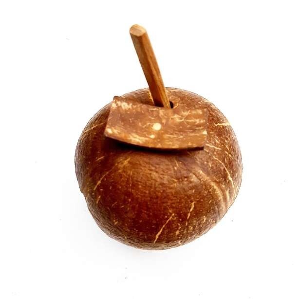 Eco Friendly Organic Handmade coconut shell salt container with spoon