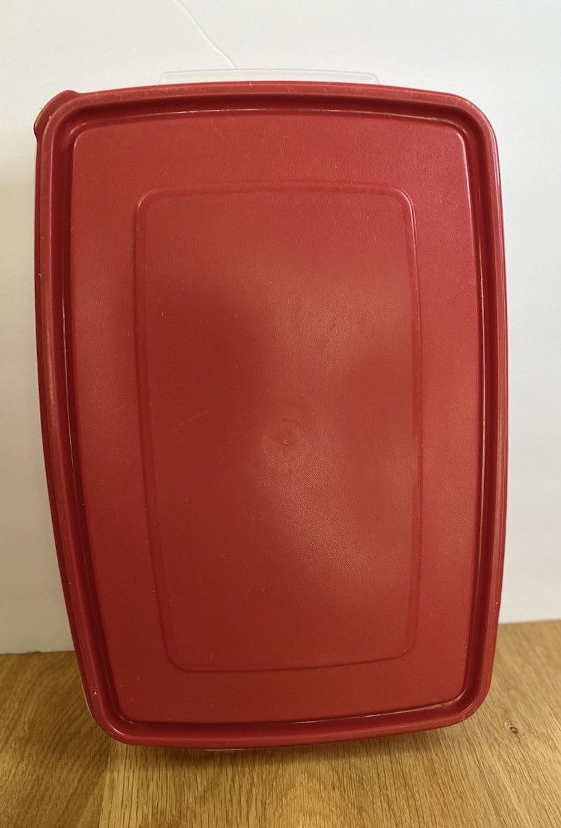 Rubbermaid Deviled Egg Container Holds 20 eggs
