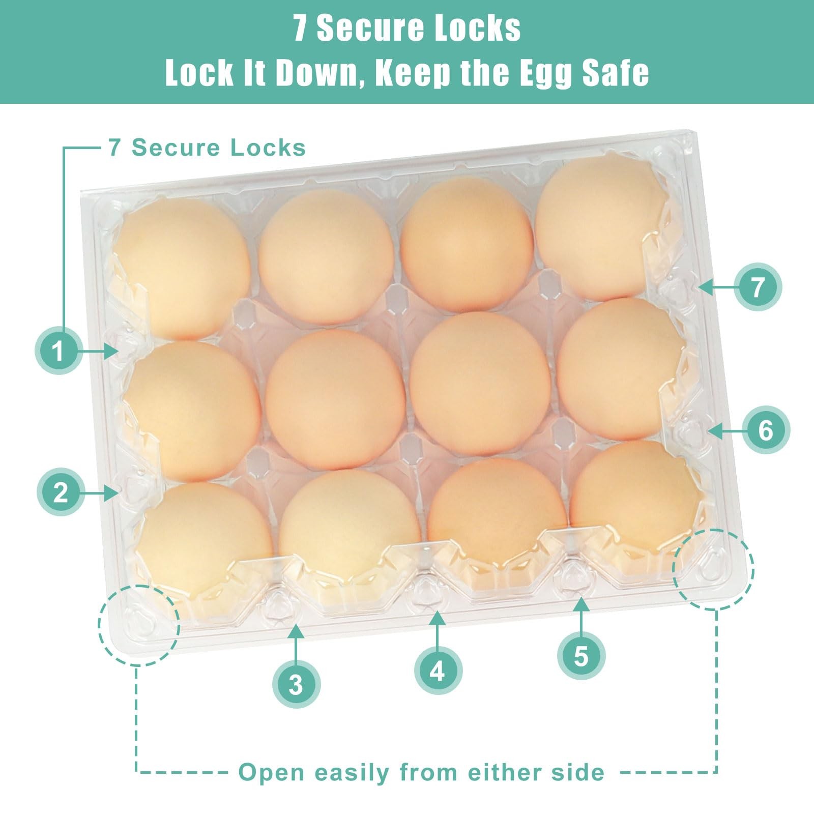 SINLUCESCE 100 Packs Egg Cartons Cheap Bulk，Plastic for 12 Eggs, Cle