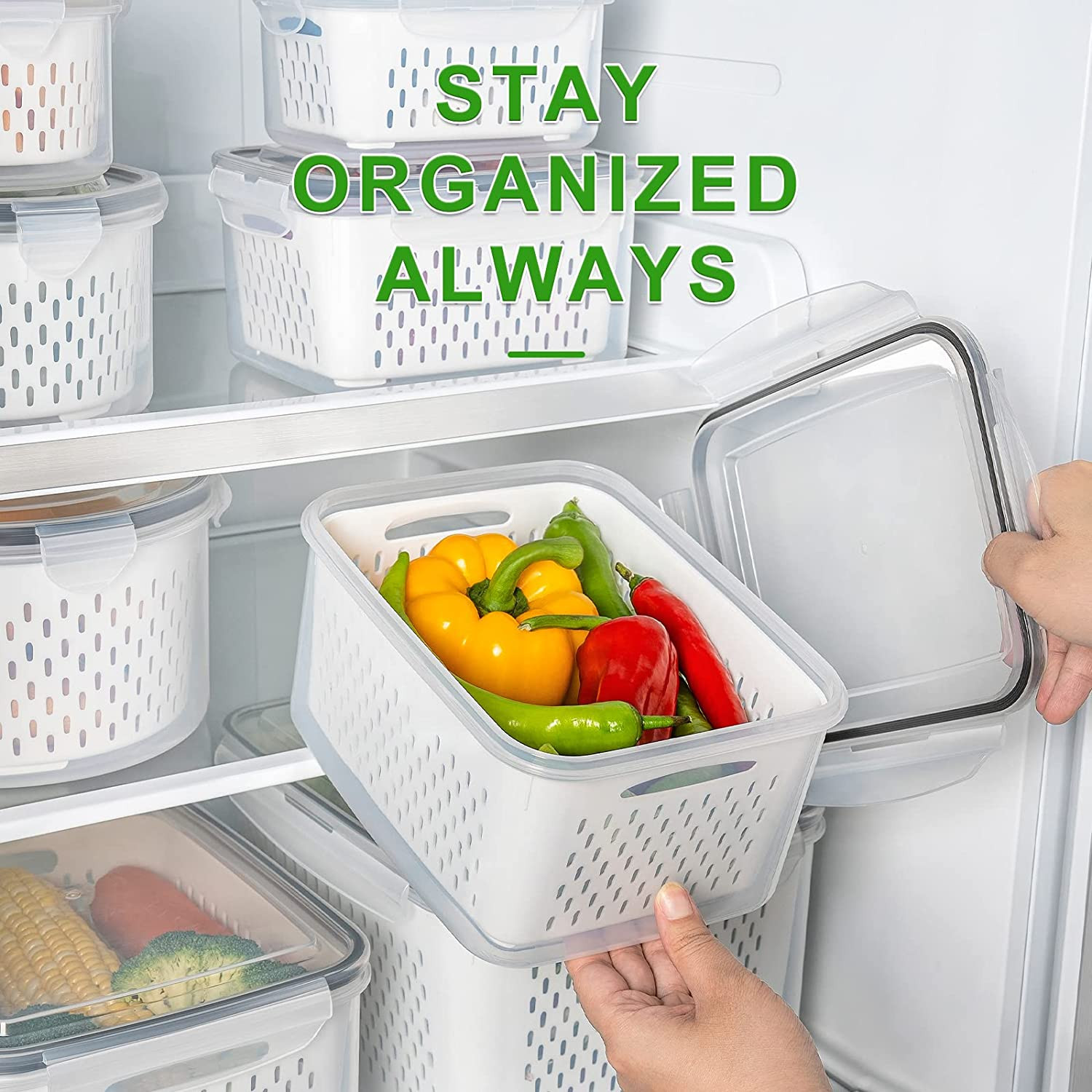 5 PCS Large Fruit Containers for Fridge – Leakproof Food Storage Containers with