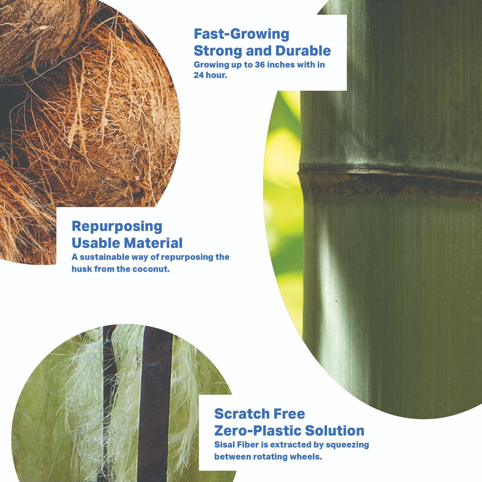 PLANT OATH Shop #01 | Sustainable Gift | Zero Plastic Shopping | Cotton Tote