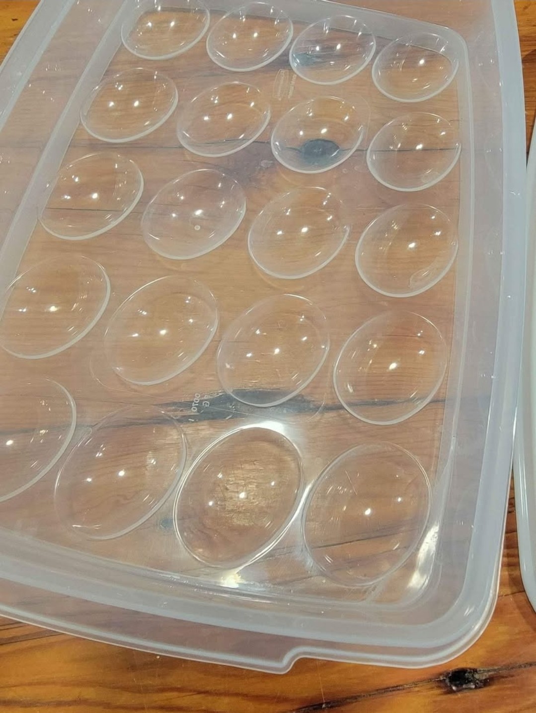 Rubbermaid Servin’ Saver Container #0070 #7 White Lid Deviled Egg Keeper USA