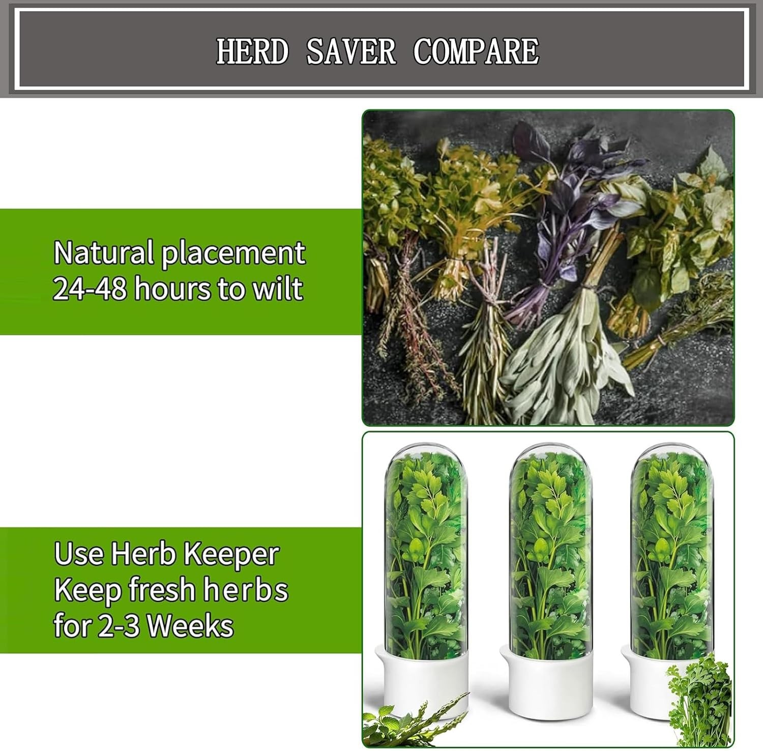 Herb Saver, Herb Keeper for Refrigerator, Cilantro Container for Fridge, Fresh