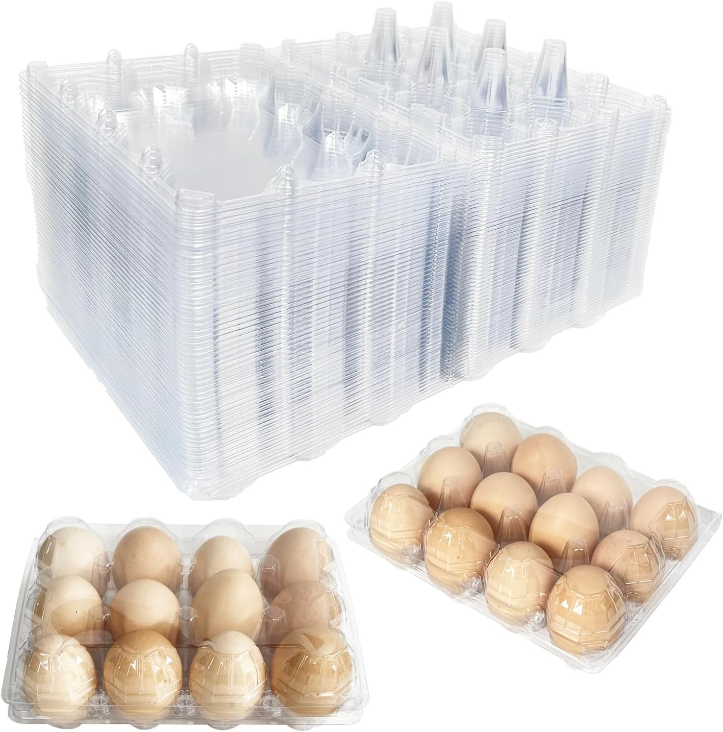 50-Pack of 12-Count Plastic Egg Cartons – Bulk Clear Reusable Egg Containers Hol