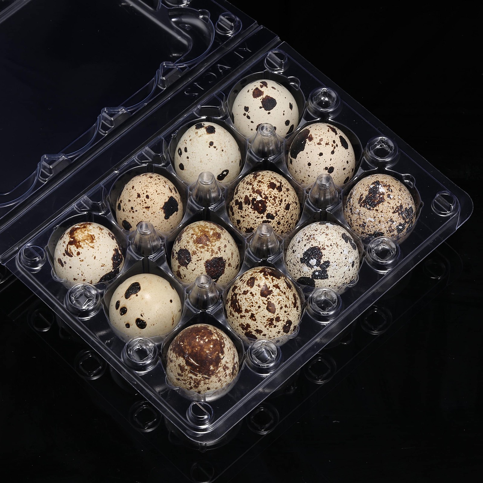 60 PCS Quail Egg Cartons 3×4 Style 12 Count Square Plastic Tray Refrigerator