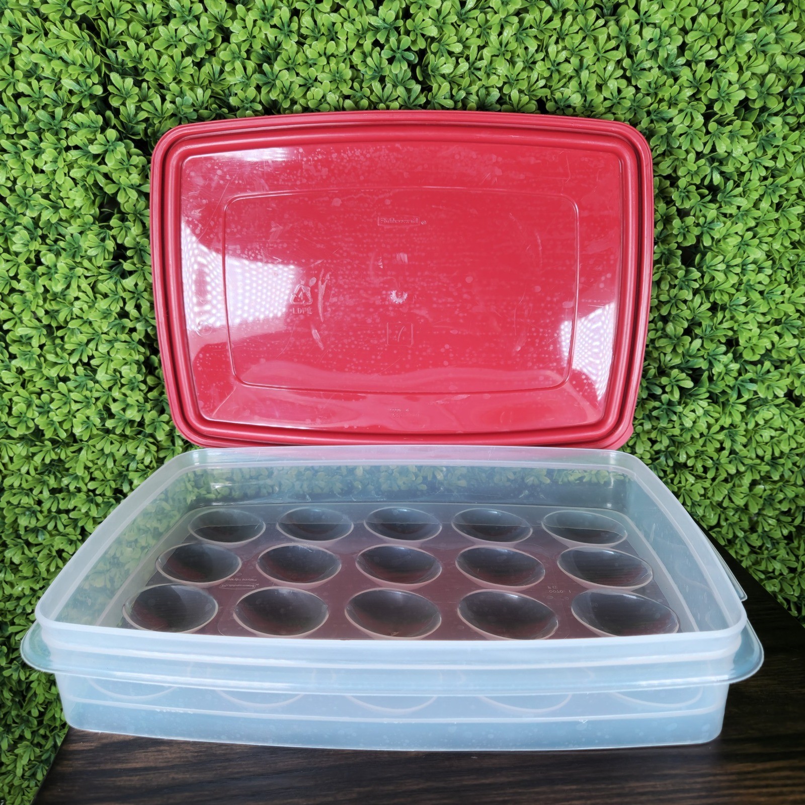 Rubbermaid Servin Saver Deviled Egg Keeper 20 Slot Red Lid Vintage 0070 FG Clear