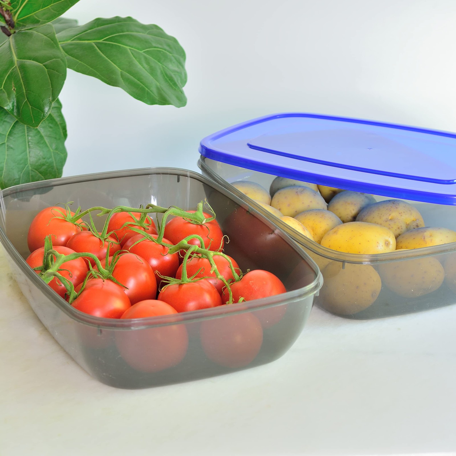 Youngever 2 Pack Extra Large Food Storage Containers 1.5 Gallon 15 Inch X 11