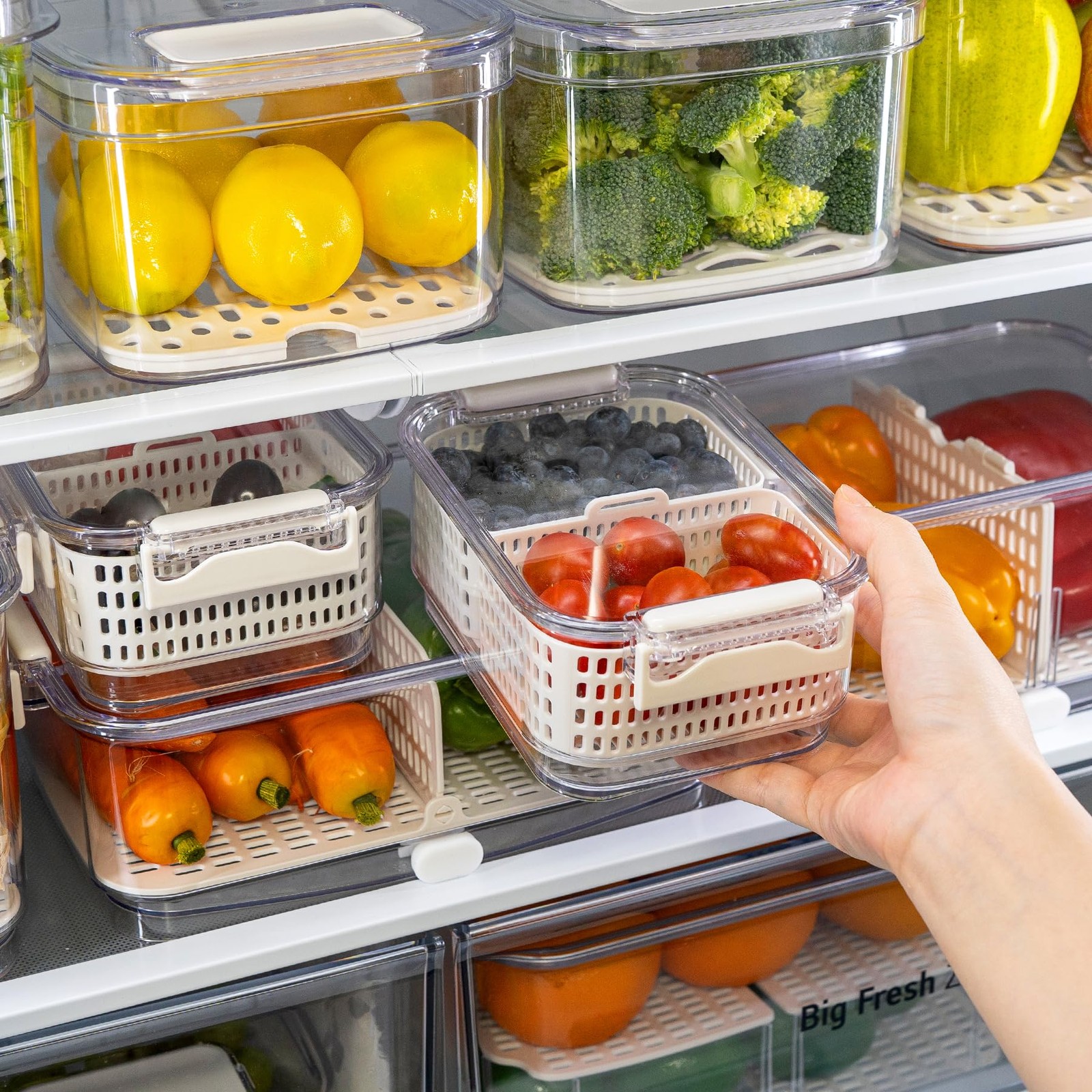 Felli Duo Fresh Produce Saver for Fridge, Fruit Vegetable Container with Vent…