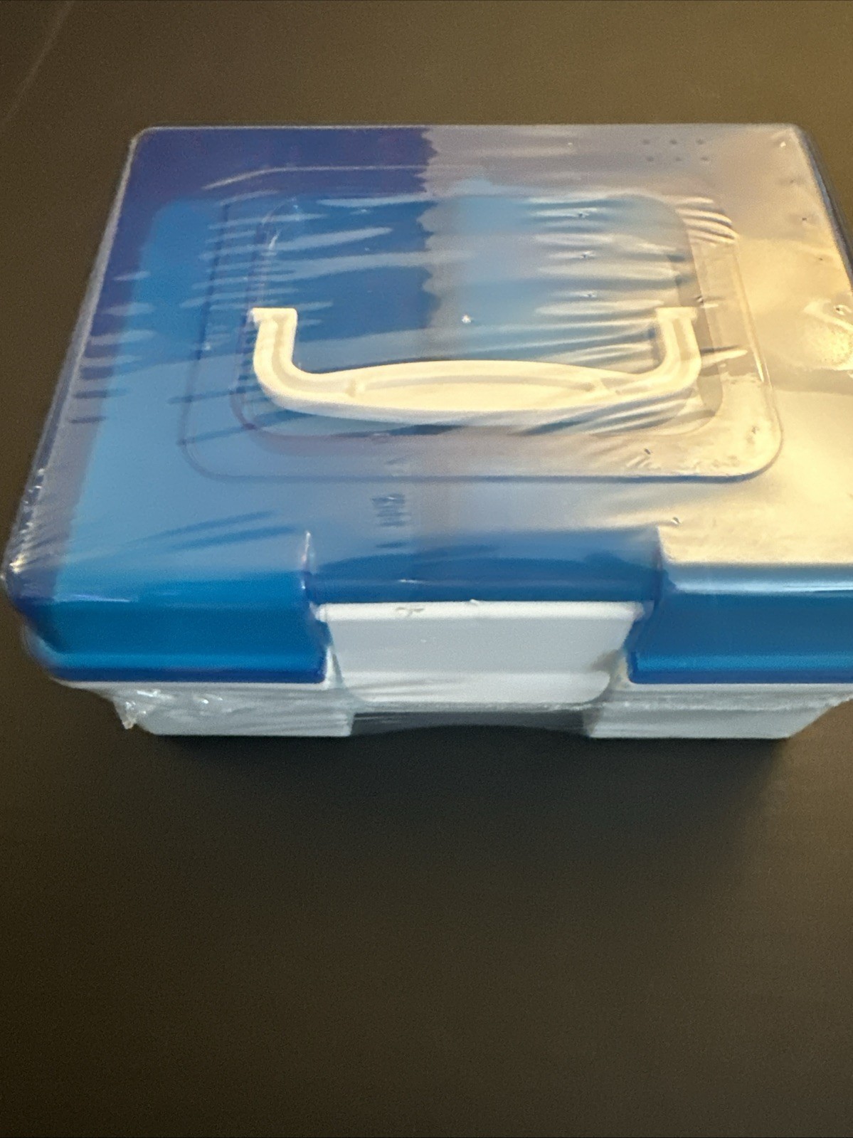 Sealed Container With Handle Plastic With See Thru Blue Lid 8.5 x 6.5 x 4